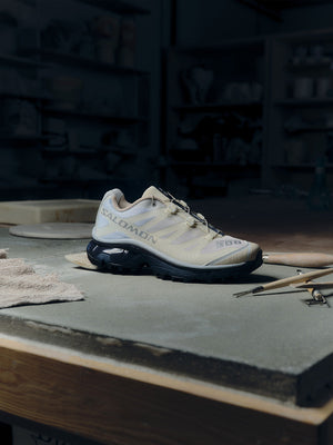SALOMON ICONS PACK