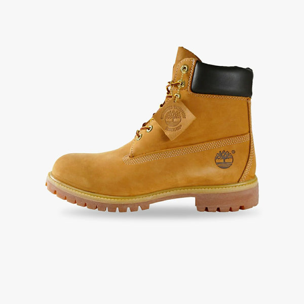 TIMBERLAND 6inch PREMIUM WP BOOT 10061