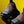 KEEN JASPER ZIONIC - KICKS LAB. EXCLUSIVE -