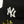 NEW ERA PILLBOX NEW YORK YANKEES