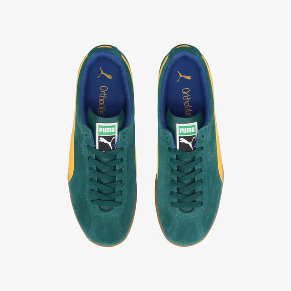 PUMA BRASIL LTH