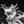 MIZUNO WAVE PROPHECY LS -KICKS LAB. EXCLUSIVE-