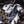 MIZUNO WAVE PROPHECY LS -KICKS LAB. EXCLUSIVE-