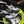 MIZUNO WAVE PROPHECY LS -KICKS LAB. EXCLUSIVE-