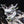 MIZUNO WAVE PROPHECY LS -KICKS LAB. EXCLUSIVE-