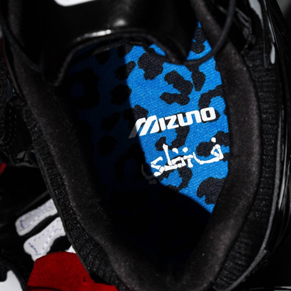 MIZUNO WAVE RIDER 10 × SBTG