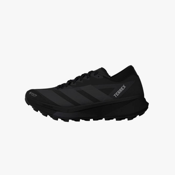 adidas TERREX AGRAVIC GTX 2
