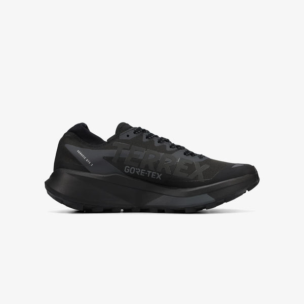 adidas TERREX AGRAVIC GTX 2