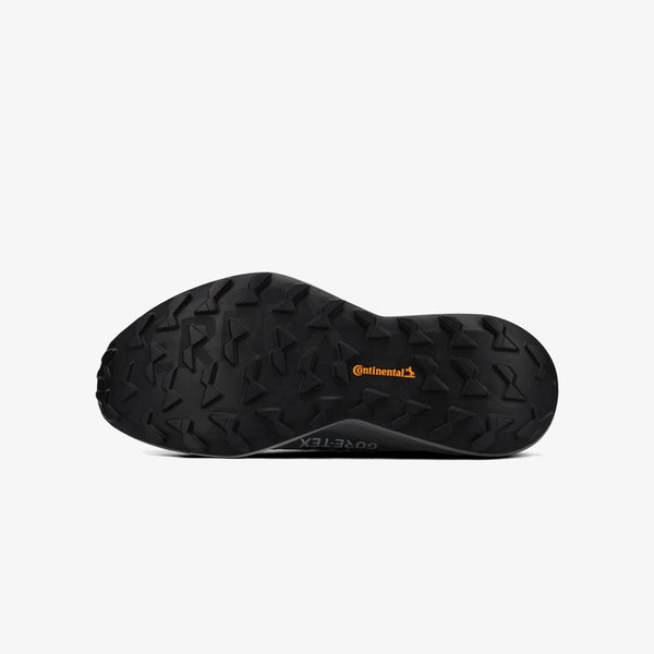 adidas TERREX AGRAVIC GTX 2