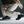 SALOMON XT-6 GTX -BLACKED OUT-
