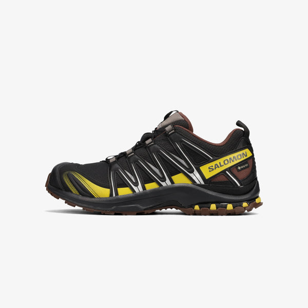 SALOMON XA PRO 3D GTX