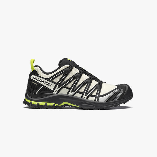 SALOMON XA PRO 3D GTX