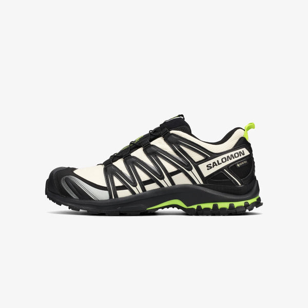 SALOMON XA PRO 3D GTX
