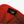 画像を読み込み表示するraidback fabric R Eagle Snapback Cap RED
