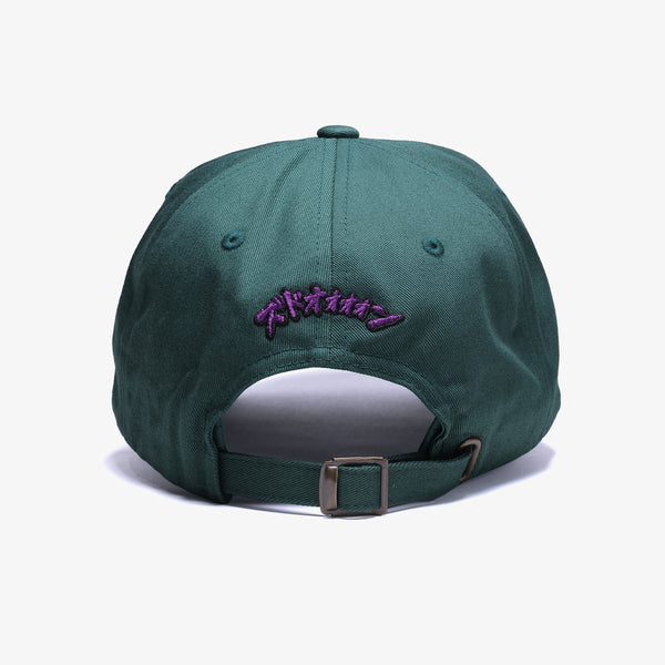 raidback fabric D.C. Adjustable Cap (4:20)